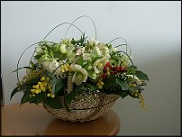 www.floristic.ru - .  