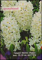 www.floristic.ru - . Hyacinthus - 