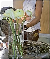 www.floristic.ru - .  .  "7 "() 27.01.2010