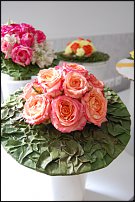 www.floristic.ru - .      