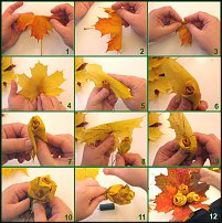 www.floristic.ru - Флористика. виды трансформации листьев и их использование