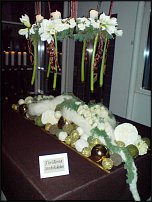 www.floristic.ru - .    