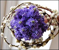 www.floristic.ru - . Hyacinthus - 