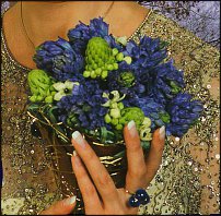 www.floristic.ru - . Hyacinthus - 