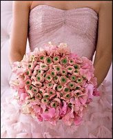 www.floristic.ru - .  - Ranunculus