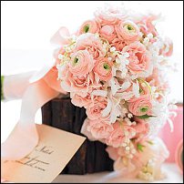 www.floristic.ru - .  - Ranunculus