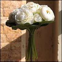 www.floristic.ru - .  - Ranunculus