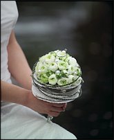 www.floristic.ru - .  - Ranunculus