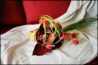 www.floristic.ru - Флористика. КАЛЛЫ