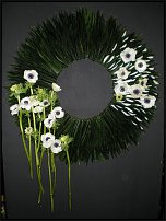 www.floristic.ru - . Elly Lin