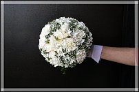 www.floristic.ru - .  .