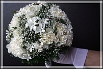 www.floristic.ru - .  .