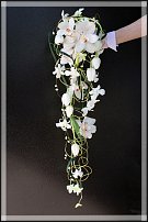 www.floristic.ru - .  .