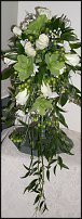 www.floristic.ru - . Helleborus  - 