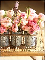 www.floristic.ru - .  - Ranunculus