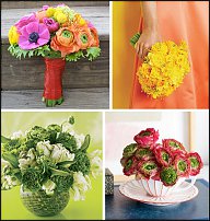 www.floristic.ru - .  - Ranunculus