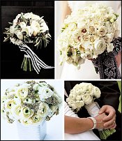 www.floristic.ru - .  - Ranunculus