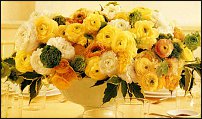 www.floristic.ru - .  - Ranunculus