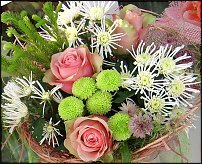 www.floristic.ru - . "Just Chrysanthemum"  )