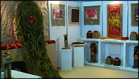 www.floristic.ru - Флористика. Выставка декора в Киеве,09.09.09,04.02.10