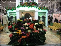 www.floristic.ru - . 