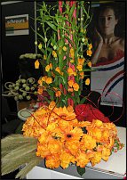 www.floristic.ru - . 