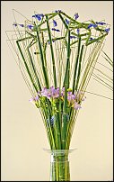 www.floristic.ru - . Muscari - 