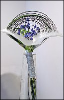 www.floristic.ru - . Muscari - 