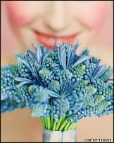 www.floristic.ru - . Muscari - 