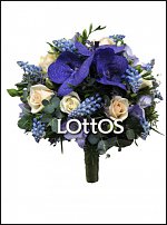 www.floristic.ru - . Muscari - 