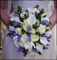 www.floristic.ru - . Muscari - 