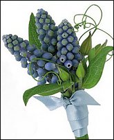 www.floristic.ru - . Muscari - 