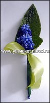 www.floristic.ru - . Muscari - 