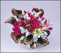 www.floristic.ru - . Muscari - 