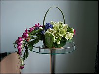 www.floristic.ru - . ,  .