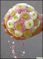 www.floristic.ru - . "Just Chrysanthemum"  )