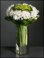 www.floristic.ru - . "Just Chrysanthemum"  )