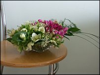 www.floristic.ru - .    !!!