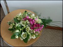 www.floristic.ru - .    !!!