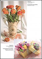 www.floristic.ru - .  - Ranunculus