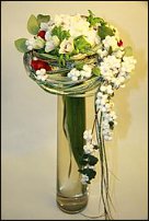 www.floristic.ru - . Snowberry -  (Symphoricarpos albus)