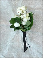 www.floristic.ru - . Snowberry -  (Symphoricarpos albus)