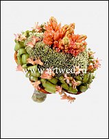 www.floristic.ru - . Hyacinthus - 