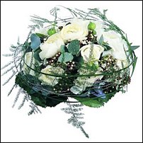 www.floristic.ru - .  - Ranunculus