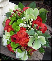 www.floristic.ru - .  - Ranunculus