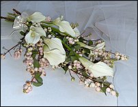 www.floristic.ru - . Snowberry -  (Symphoricarpos albus)