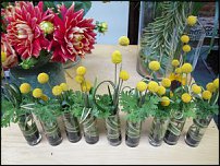 www.floristic.ru - . Craspedia globosa -  