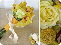 www.floristic.ru - . Craspedia globosa -  