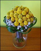 www.floristic.ru - . Craspedia globosa -  