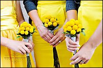 www.floristic.ru - . Craspedia globosa -  